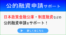 公的融資